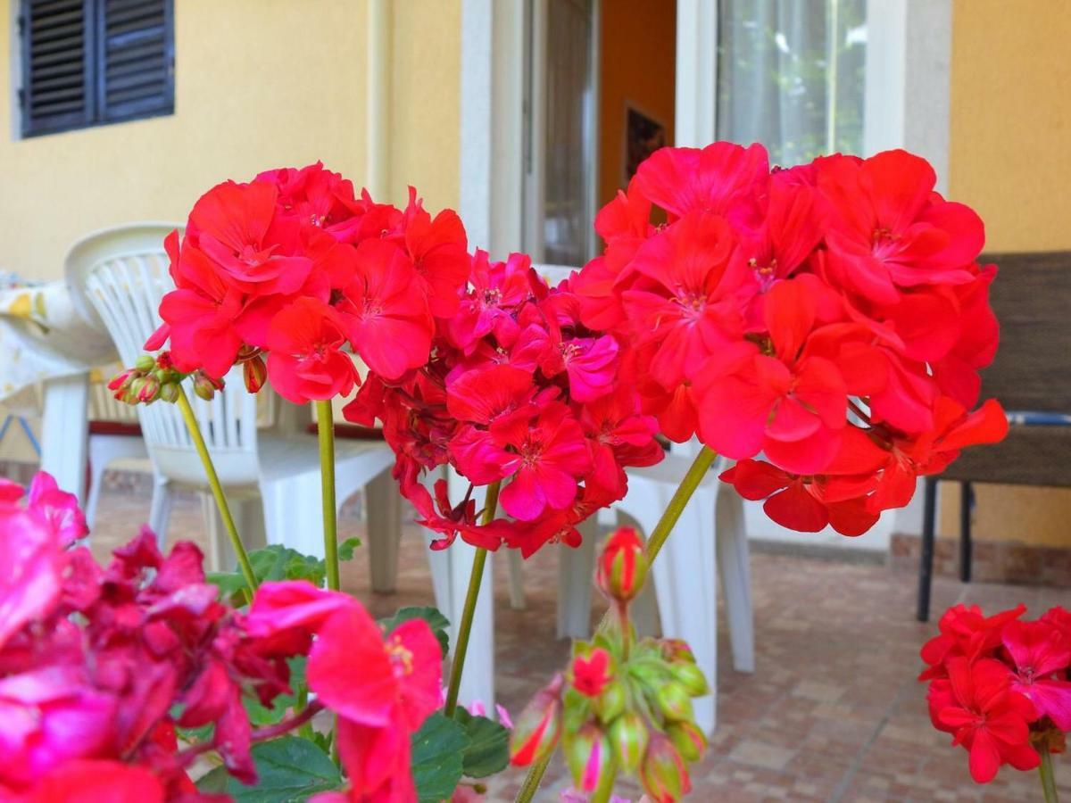 Apartment Girasole โรวีน ภายนอก รูปภาพ